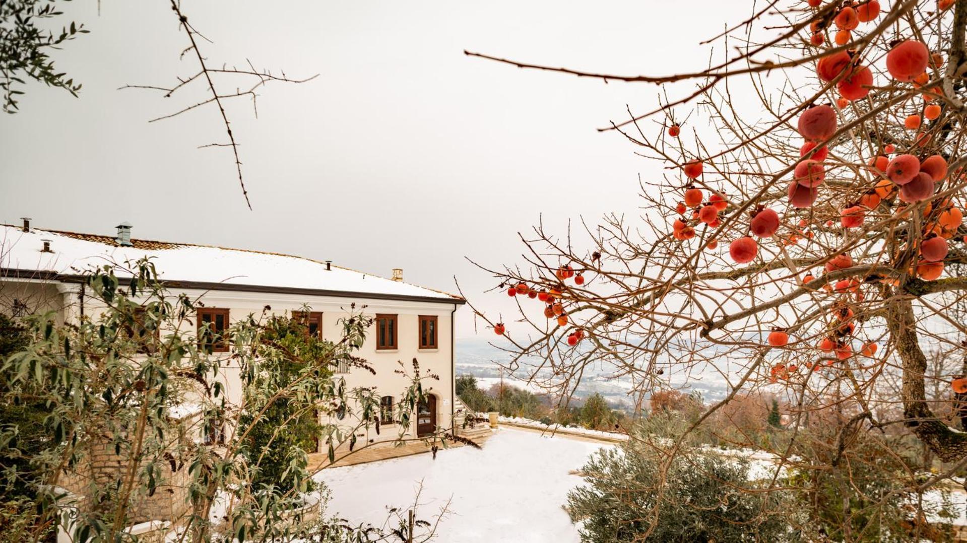 Il Mulino Della Signora Luxury Country House Frigento Exterior foto
